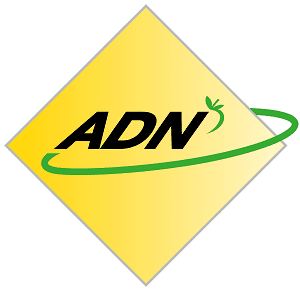 ADN, Stam Renault